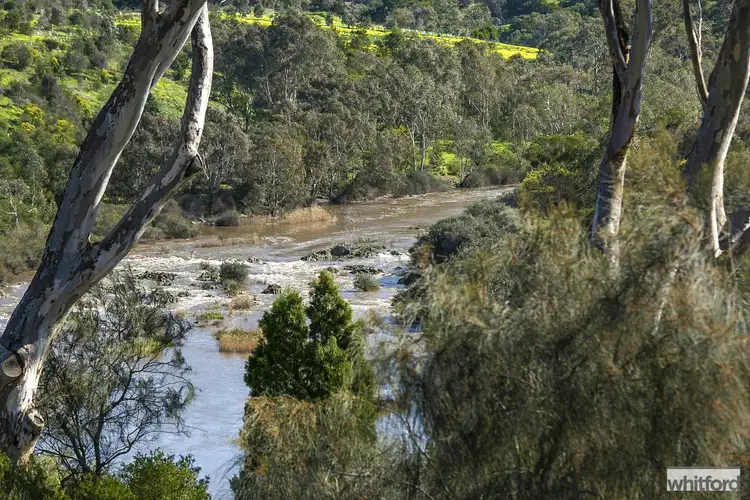 Sixth view of Homely house listing, 55 Buckley Falls Road, Highton VIC 3216