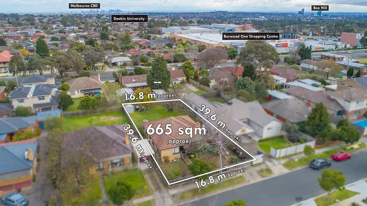 Second view of Homely house listing, 20 Barry Road, Burwood East VIC 3151