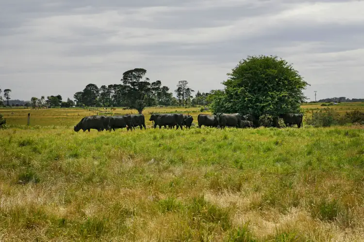 Third view of Homely house listing, 483 Redesdale Road, Kyneton VIC 3444