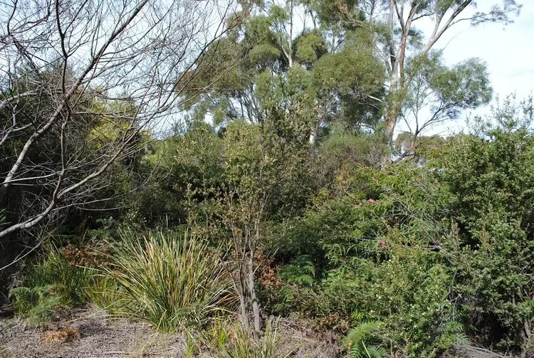 Fourth view of Homely land listing, 4 Hazards View Drive, Coles Bay TAS 7215