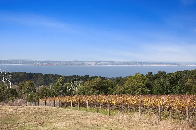 Main view of Homely house listing, 48 Paringa Road, Red Hill South VIC 3937