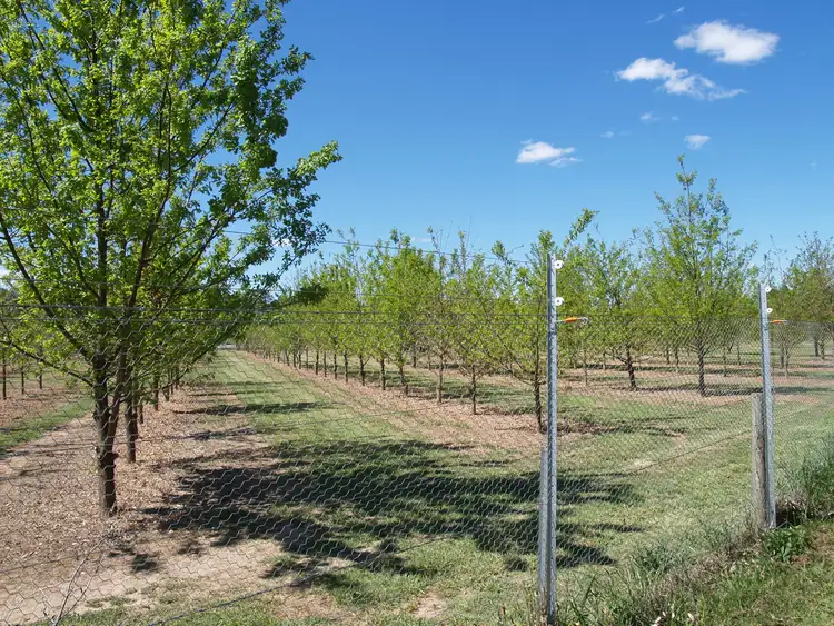 Fourth view of Homely land listing, 91 Christies Road, Thornton VIC 3712