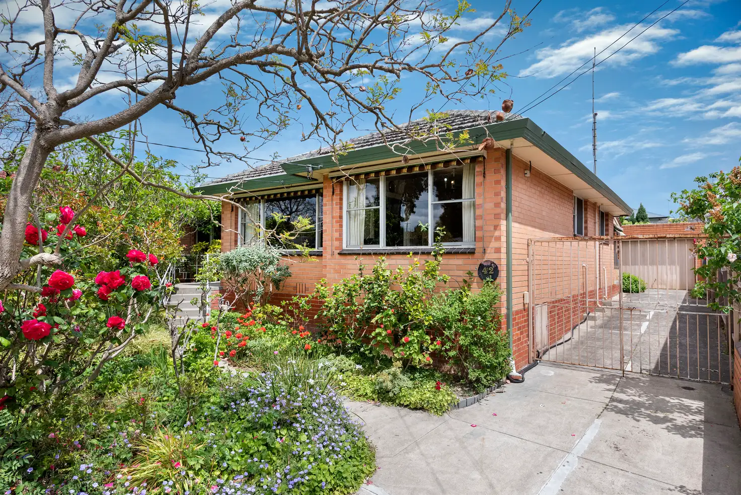 Main view of Homely house listing, 42 Marchiori Road, Blackburn North VIC 3130