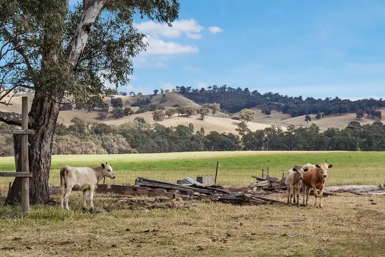 Fourth view of Homely rural property listing, 740 Tallarook-Pyalong Road, Tallarook VIC 3659