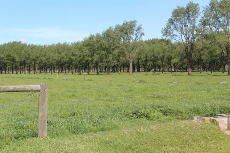 66 Fitzpatrick  Road, Montgomery VIC 3851