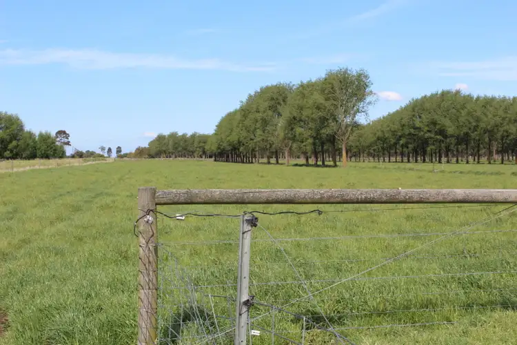Second view of Homely rural property listing, 66 Fitzpatrick  Road, Montgomery VIC 3851