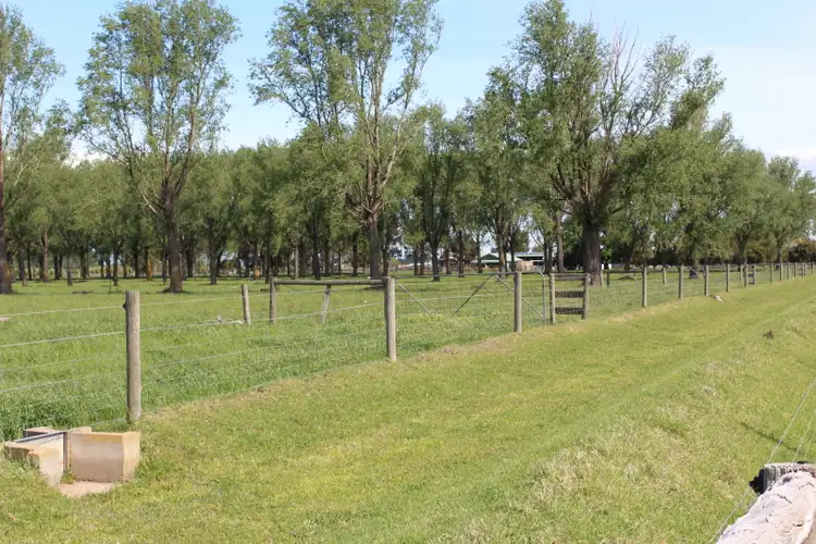 Third view of Homely rural property listing, 66 Fitzpatrick  Road, Montgomery VIC 3851