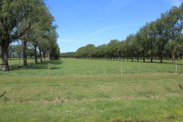 Fourth view of Homely rural property listing, 66 Fitzpatrick  Road, Montgomery VIC 3851