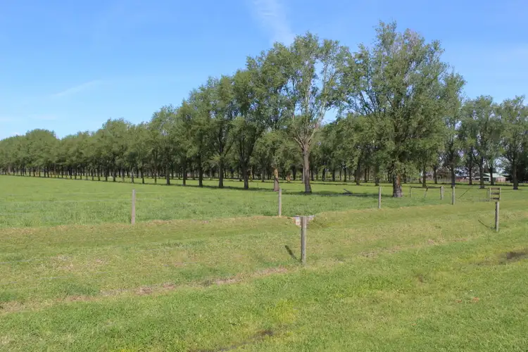 Fifth view of Homely rural property listing, 66 Fitzpatrick  Road, Montgomery VIC 3851