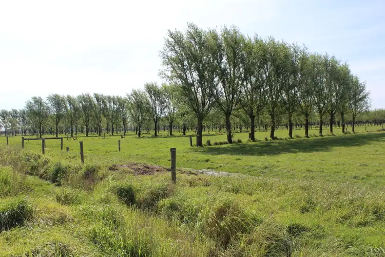 Seventh view of Homely rural property listing, 66 Fitzpatrick  Road, Montgomery VIC 3851