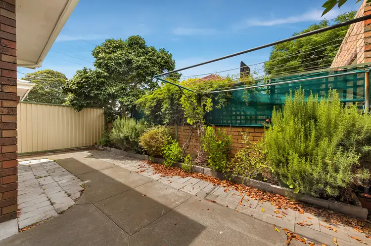 28 Argus  Street