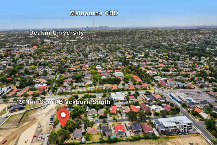 Sixth view of Homely land listing, 19 Neil Court, Blackburn South VIC 3130