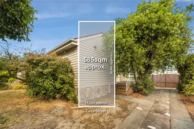 3 Celia Street, Bentleigh East VIC 3165