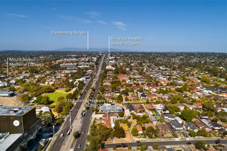 Sixth view of Homely house listing, 234 Burwood Highway, Burwood VIC 3125