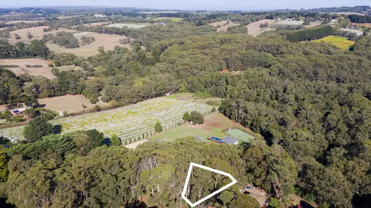 33 Elizabeth Road, Red Hill VIC 3937