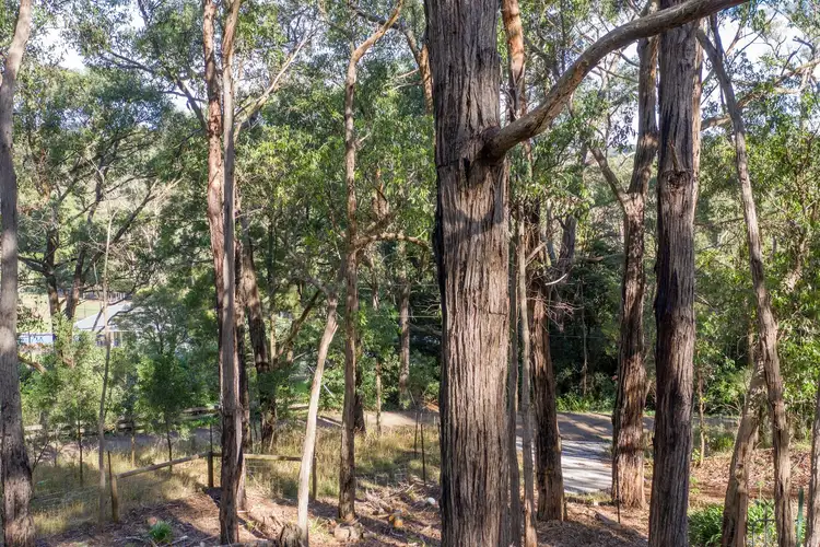 Third view of Homely land listing, 33 Elizabeth Road, Red Hill VIC 3937