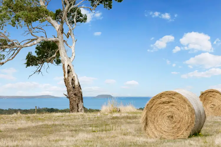 Third view of Homely rural property listing, 115 Point Leo Road, Merricks VIC 3916