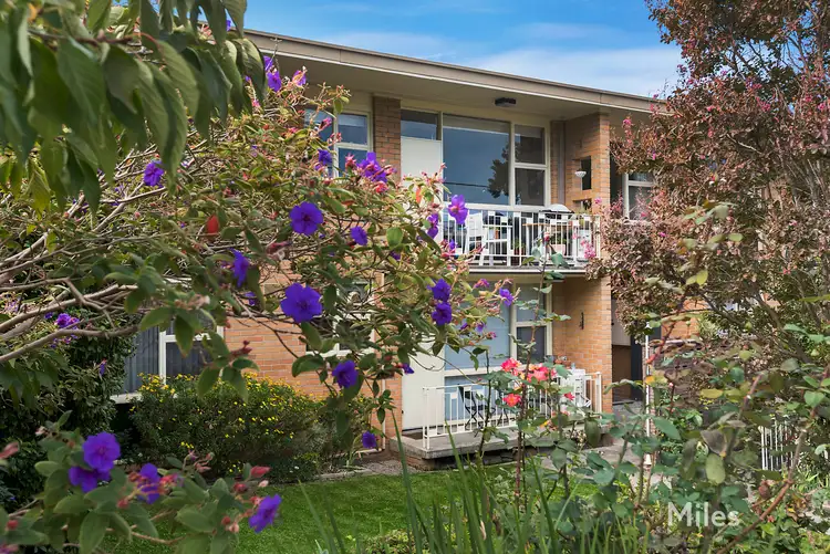 3/18 Carmichael Street, Ivanhoe East VIC 3079