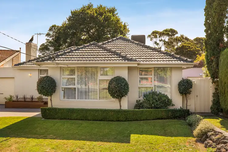 19 Paramount Avenue, Blackburn South VIC 3130