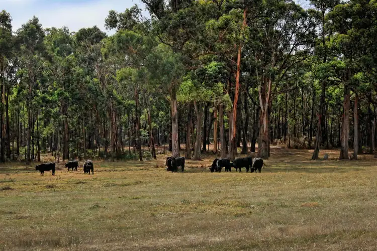 Fourth view of Homely land listing, 22 Flanagans Road, Ashbourne VIC 3442