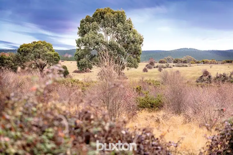 Seventh view of Homely land listing, 7 Burgoyne Street, Scarsdale VIC 3351