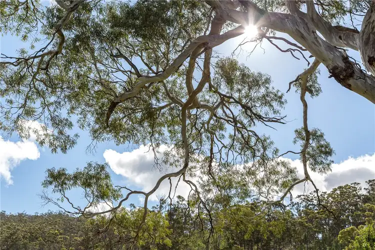 Sixth view of Homely land listing, 328 Middle Tea Tree Road, Richmond TAS 7025