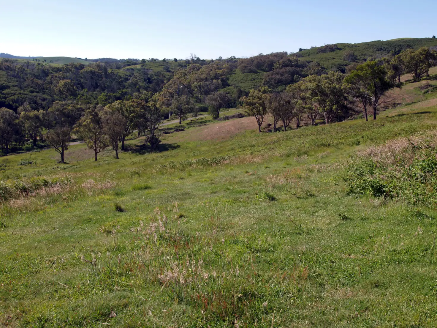 Main view of Homely rural property listing, 42 Kath Hall Lane, Glenburn VIC 3717