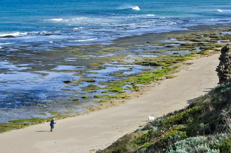 12A Grandview Parade, Barwon Heads VIC 3227