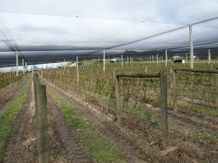 Second view of Homely land listing, 13 Melba Highway, Coldstream VIC 3770