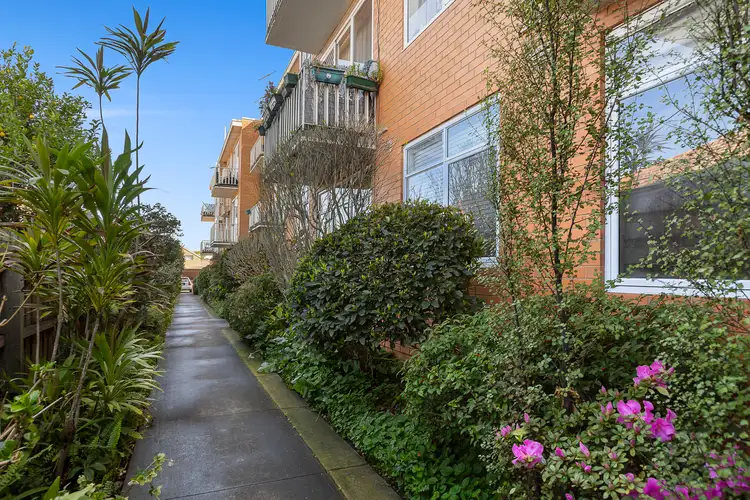 Main view of Homely apartment listing, 15/91 Hotham Street, Balaclava VIC 3183