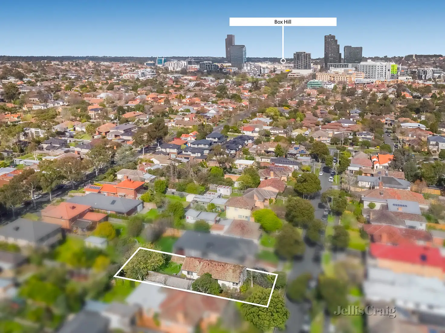 Main view of Homely house listing, 41 Olympiad Crescent, Box Hill North VIC 3129