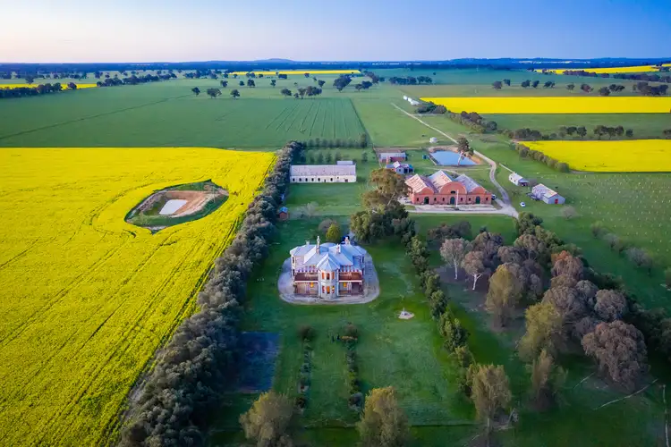 Main view of Homely house listing, 3210 Murray Valley Highway, Rutherglen VIC 3685