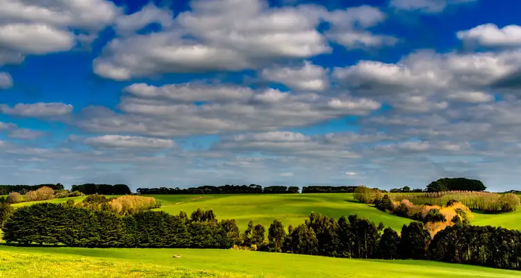 Second view of Homely house listing, 11 Serpentine Lane, Princetown VIC 3269