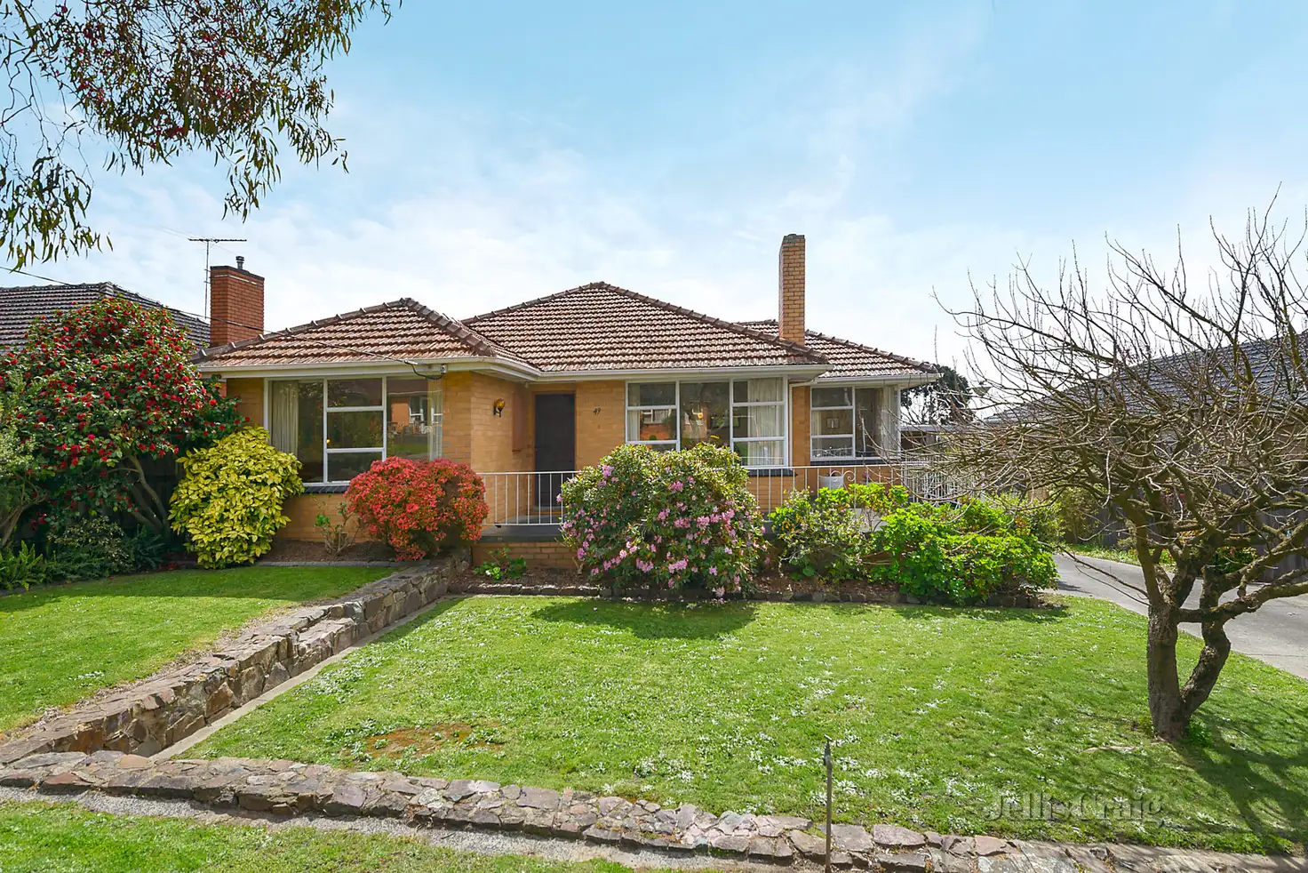 Main view of Homely house listing, 49 Shafer Road, Blackburn North VIC 3130