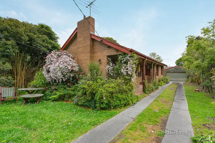 Second view of Homely house listing, 19 Taronga Court, Nunawading VIC 3131