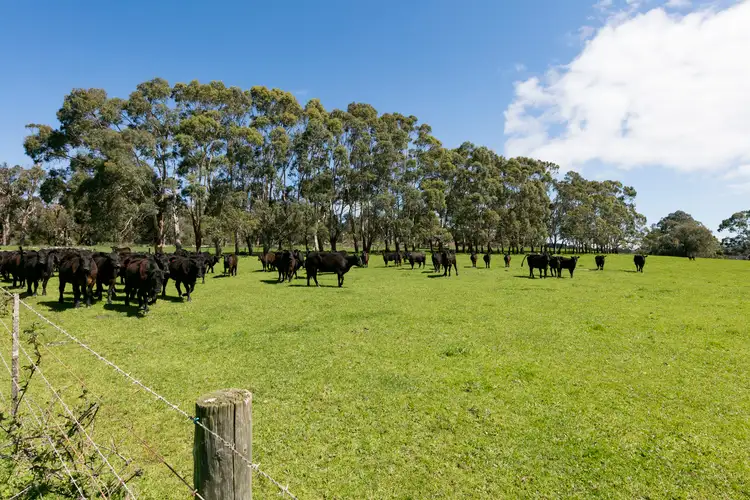 Fourth view of Homely rural property listing, 515 Tucks Road, Shoreham VIC 3916
