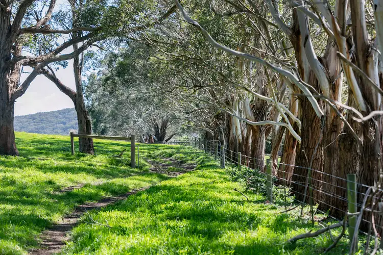 Fifth view of Homely rural property listing, 515 Tucks Road, Shoreham VIC 3916