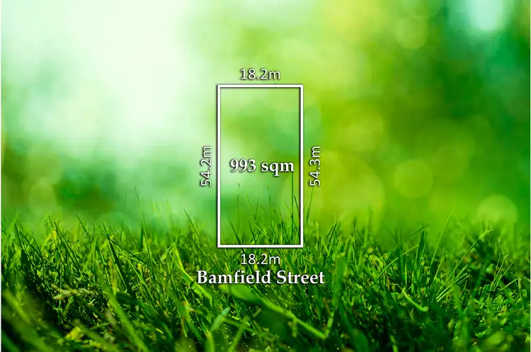 Seventh view of Homely house listing, 58 Bamfield Street, Sandringham VIC 3191