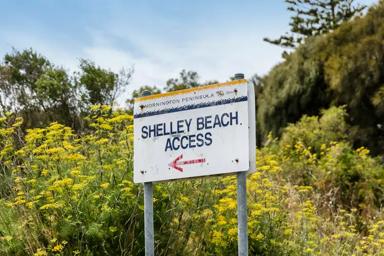 Third view of Homely house listing, Boat Shed 37 Shelley Beach, Portsea VIC 3944