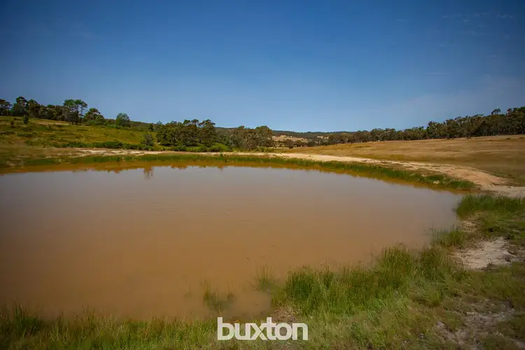 Fourth view of Homely land listing, 141 Scholes Road, Raglan VIC 3373