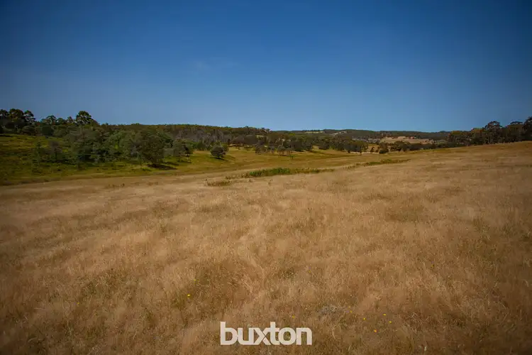 Seventh view of Homely land listing, 141 Scholes Road, Raglan VIC 3373