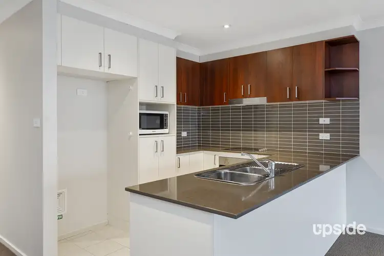 Main view of Homely unit listing, 3/31 Thynne Street, Bruce ACT 2617