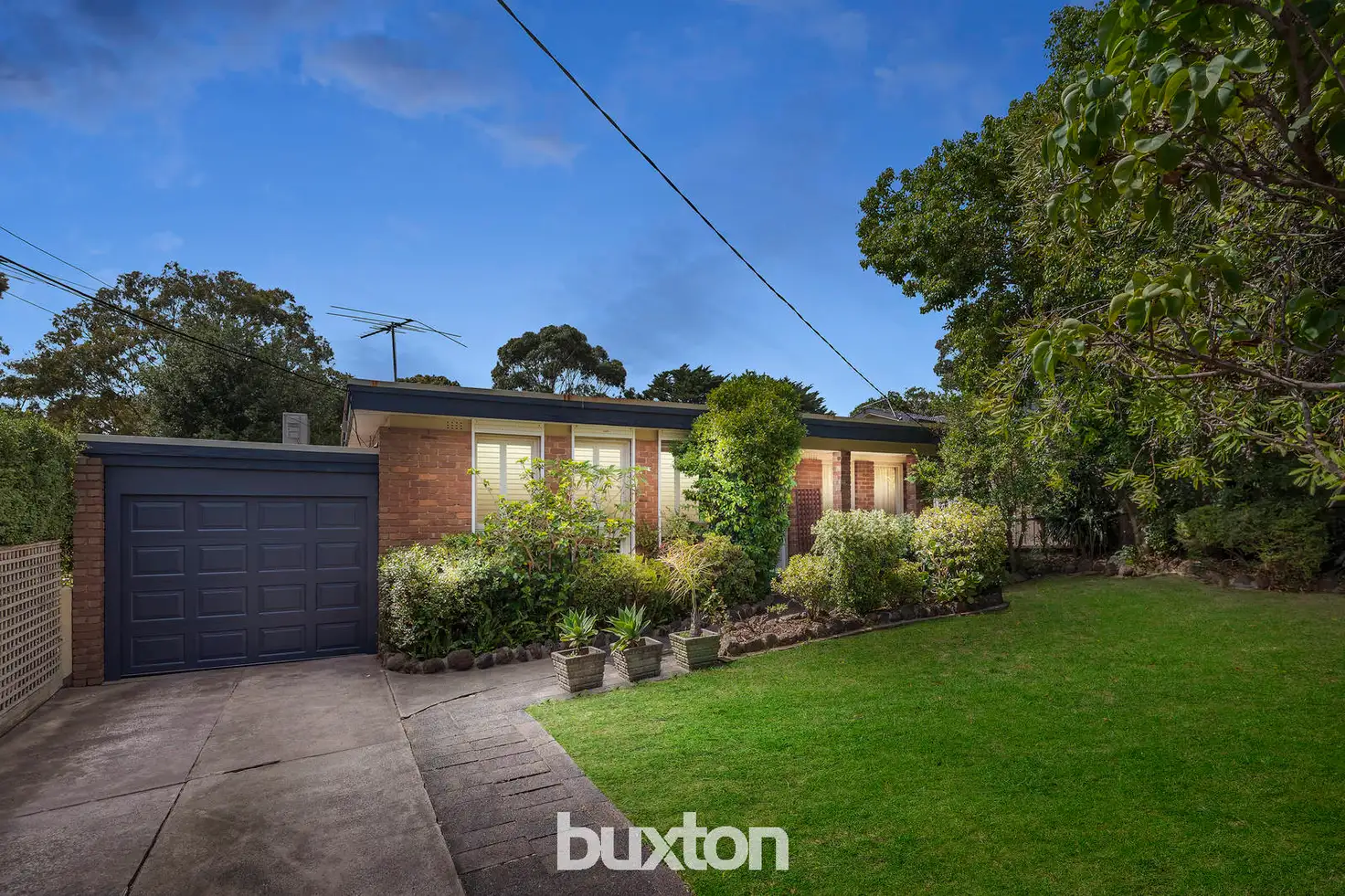 Main view of Homely house listing, 119 Therese Avenue, Mount Waverley VIC 3149