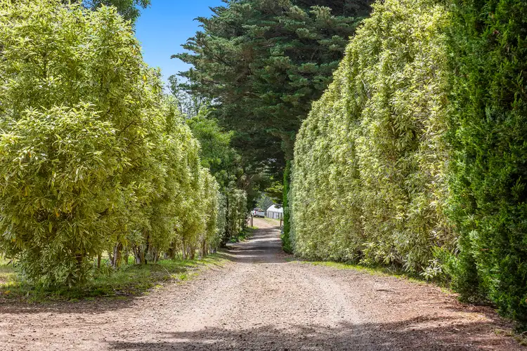 Third view of Homely rural property listing, 404 Shands Road, Main Ridge VIC 3928