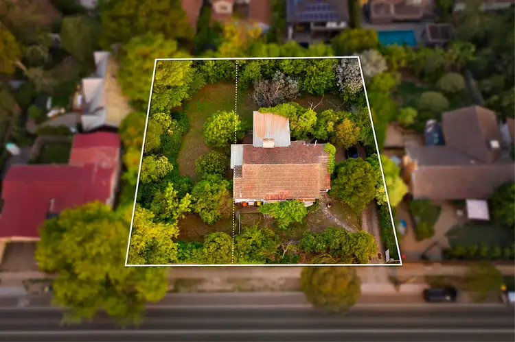 Second view of Homely house listing, 113 & 115 Greythorn Road, Balwyn North VIC 3104