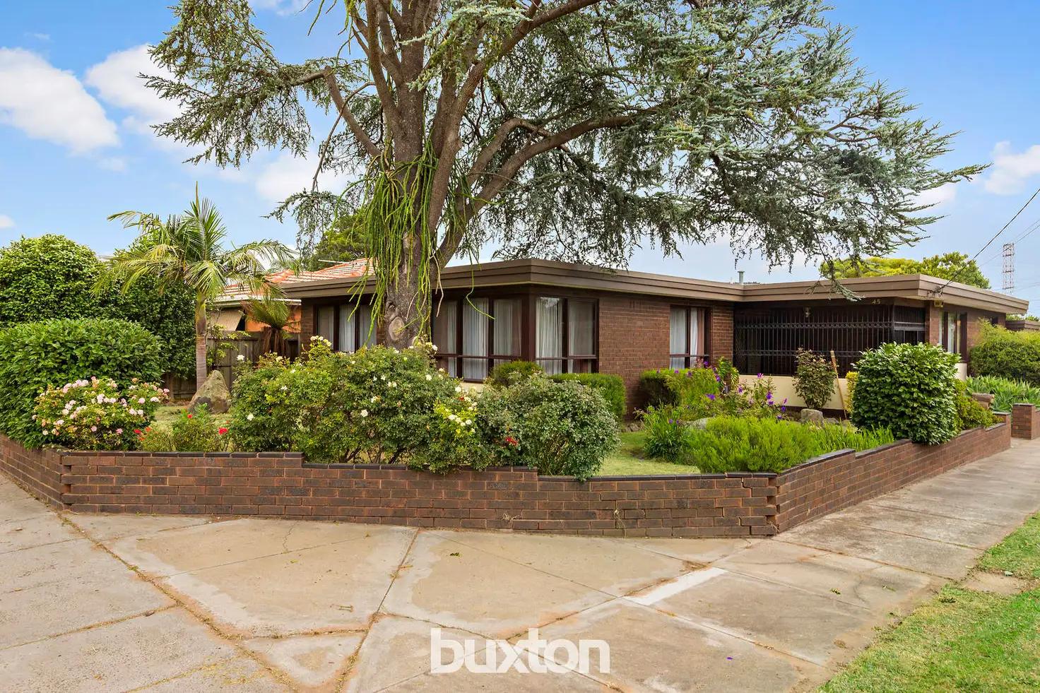 Main view of Homely house listing, 45 Old Dandenong Road, Oakleigh South VIC 3167