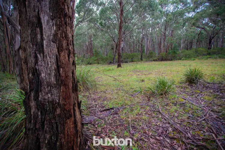 Fourth view of Homely land listing, 229 Dingley Dell Road, Mollongghip VIC 3352