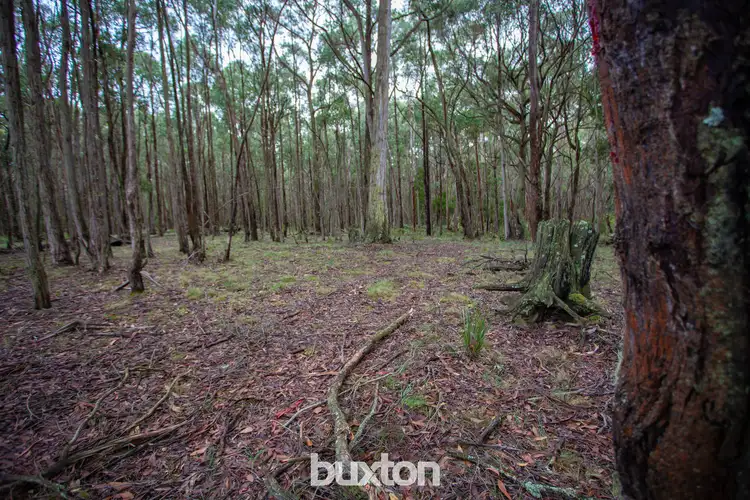 Fifth view of Homely land listing, 229 Dingley Dell Road, Mollongghip VIC 3352