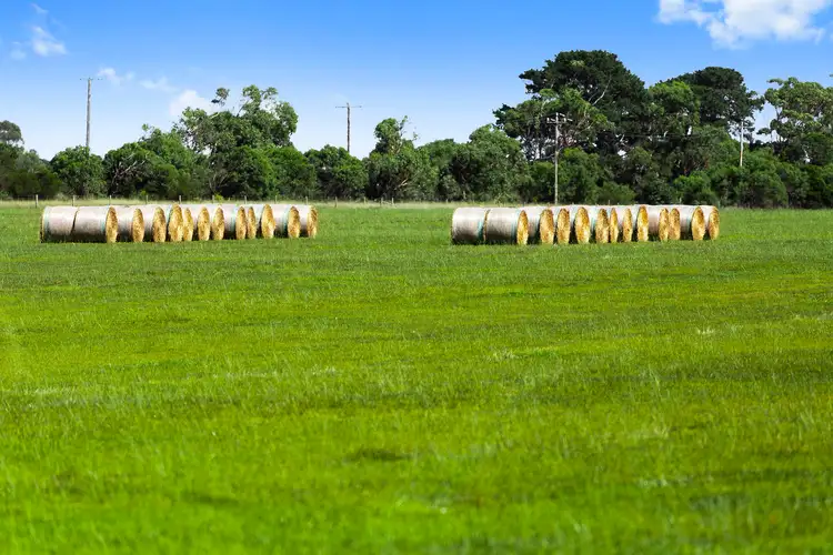 Fifth view of Homely land listing, 590 Charlemont Road, Connewarre VIC 3227