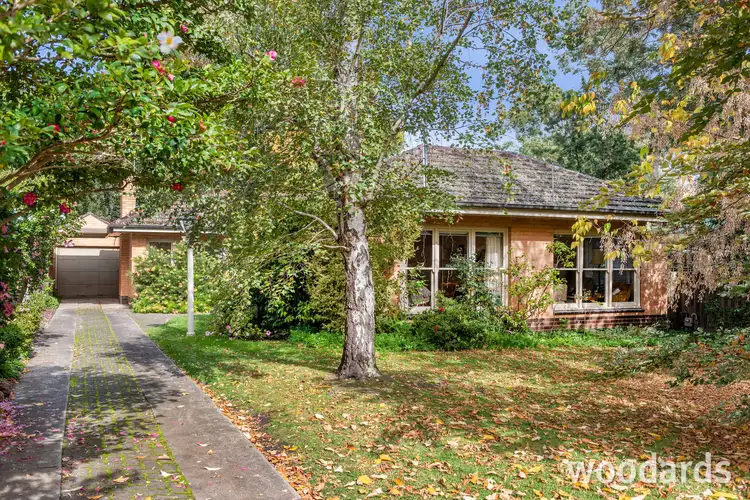 14 The Avenue, Blackburn VIC 3130